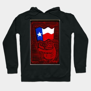 Texas Flag Ape Hoodie